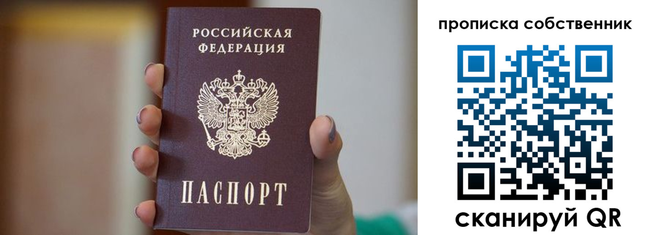 прописка поиск в Элисте